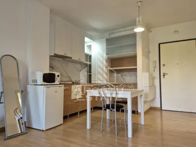 Apartament 1camera tip Studio,  terasa 7mp, parcare, Favorit Timisoara - foto 3