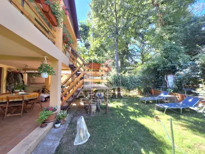Cabana cu 3 camere, 392 mp teren, 3 Insule - Arad