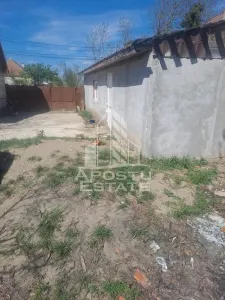 Casa individuala in Cruceni ,la granita cu Serbia - foto 13