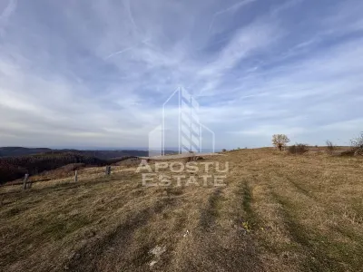 Casa batraneasca la munte, in Hunedoara, Tinutul Padurenilor, Cerbal - foto 11