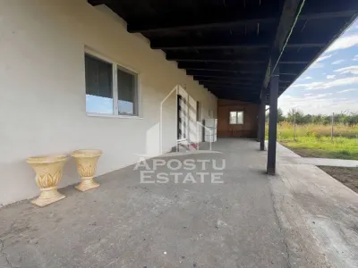 Casa individuala cu 5 camere spre vanzare, Padureni, Jud Timis - foto 7
