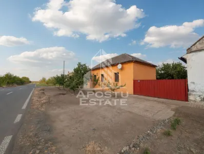 PROPRIETATE PREMIUM TEREMIA MARE - APOSTU ESTATE - Teremia Mare