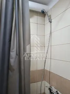 Apartament 1 camera,Buziasului,Timisoara - foto 8