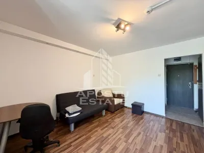 Apartament cu o camera de inchiriat, zona Brancoveanu, Timisoara - foto 2