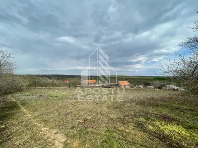 Teren intravilan pentru investitie, 2896 mp, Herneacova Timis - Herneacova