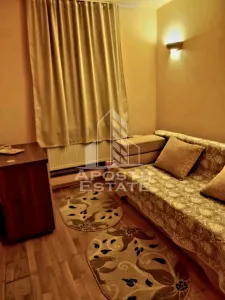 Prnsiunr in Moneasa 8 camere - foto 12