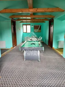 Prnsiunr in Moneasa 8 camere - foto 25