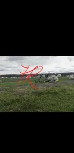 Vanzare teren intravilan Vladiceasca/Snagov langa lac - foto 4