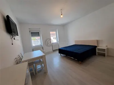 MDI chirie casa singur in curte - Oradea