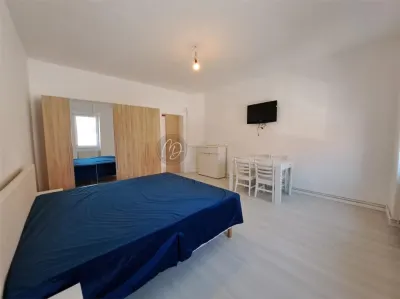 MDI chirie casa singur in curte - foto 2