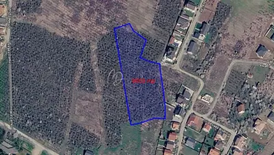 MDI teren intravilan Paleu 9003mp - foto 2