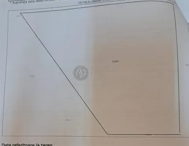 MDI teren intravilan Paleu 772 mp - foto 6