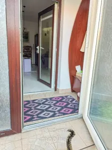 Pet Friendly! Casa 4 camere in Piata Cipariu, Central + Parcare - foto 13