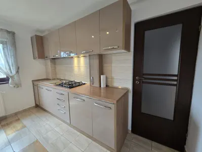 Apartament 1 cameră | Podul de Fier | 48 mp | Bucătărie separată | Lift | Se acceptă pisici - foto 2