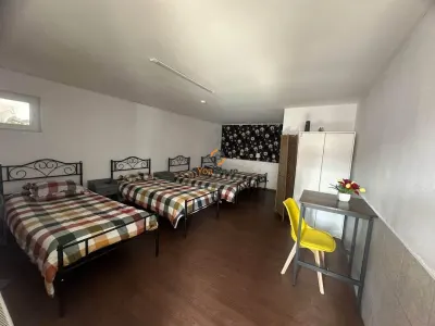 Afacere la Cheie / Centru de Batrani 30 de Camere / Lenauheim - foto 14