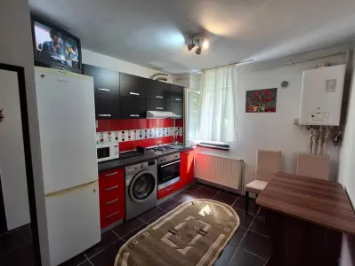 Apartament 2 camere, zona Garii ,renovat,mobilat,109000 Euro - foto 4