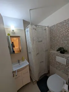 SOARELUI - PARTER - 3 CAMERE - 2 BAI - DECOMANDAT - CENTRALA PROPRIE - RENOVAT - foto 6