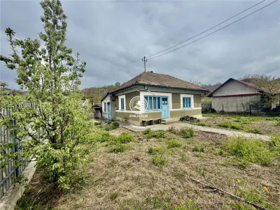 Casa  de vânzare Bucium-iasi - foto 2