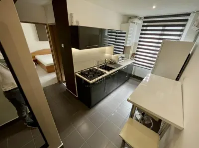COMPLEX - 2 CAMERE - DECOMANDAT - CENTRALA PROPRIE - RENOVAT - foto 2