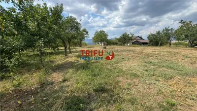 Teren intravilan de 10.651 mp – Oarda de Sus, Alba Iulia - foto 6