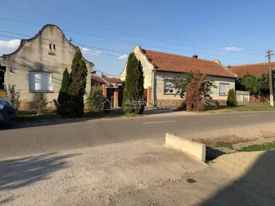 Ohaba-Forgaci, Casa Cu Doua Corpuri, 6 Cam. 268 Mp., Teren 2.999 Mp. Cu Pomicultura,  Zona Centrala - foto 2
