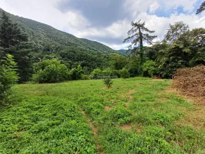 Baile Herculane, De Vanzare Vila Miramonte, 3204 Mp. Teren Intravilan, In Centrul Orasului - foto 4