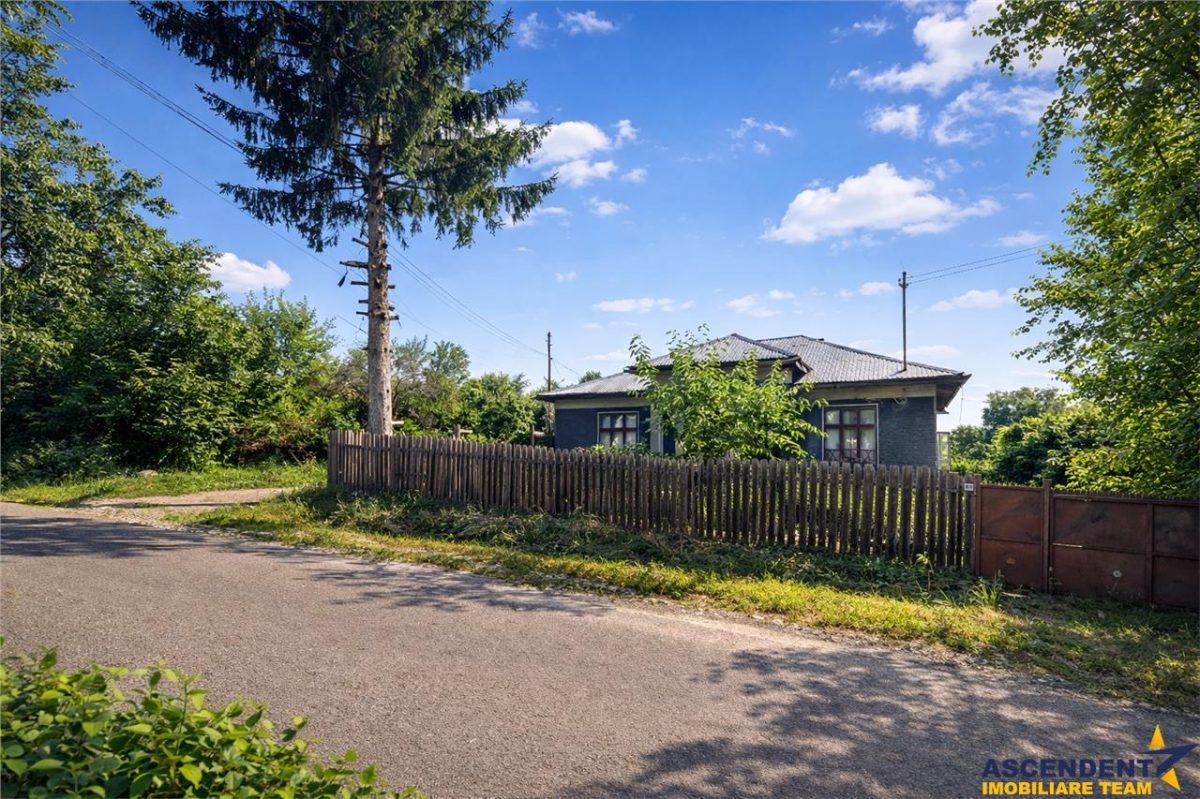 2.000mp teren,acces facil,recomandat constructie casa,Central,Greceanca, Buzau - Greceanca