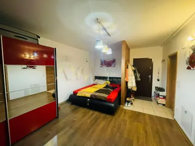Vanzare apartament 1 camera Timisoara zona Calea Sagului - foto 5